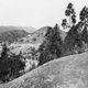Illustration for article titled Before the Hollywood Sign Found Fame, Others Signs Dotted LAs Hillsides